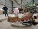 Park wodny Electric Dinosaur Equipment Life Size Symulacja dekoracji dinozaurów
