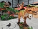 Shopping Mall Customized Length Ride On Dinosaur Show Realistic Walking