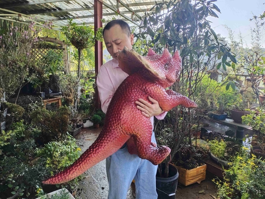 Red Baby Dinosaur Hand Puppet for amusent park