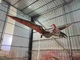 Taille réaliste Dinosaure animatronique Accrochez-vous au ptérosaure avec son