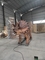 Công viên Jurassic Animatronic Triceratops Mô hình 5m