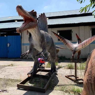 İyi bir fiyat. Sergiler Gerçekçi Animatronic Dinozor 6m Spinosaurus Modeli çevrimiçi