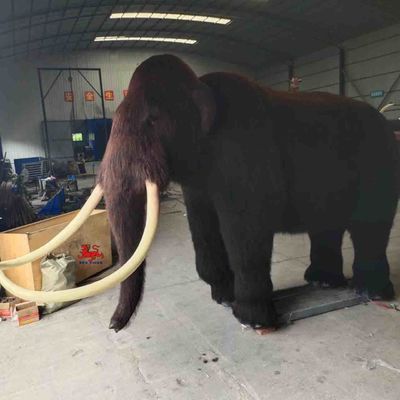 Dobra cena. Rozmiar niestandardowy realistyczne zwierzęta animatroniczne mamut Model dorosły wiek w Internecie