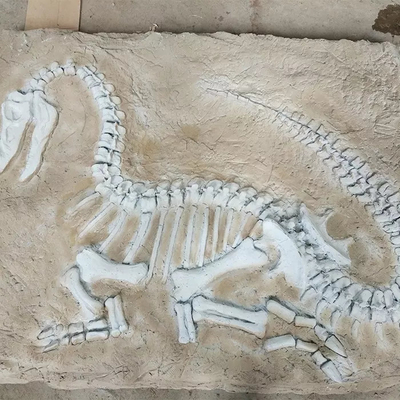 Good price Réplica de dinossauro em tamanho real, fóssil de réplica de dinossauro para atividades de negócios on-line