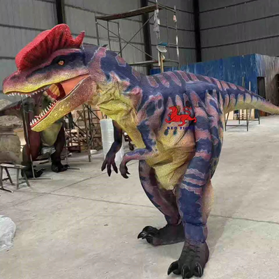 Good price Custom 3D Print Dinosaur Costume for Theme Parks and Museums online
