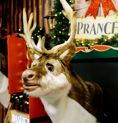 Custom Color Animatronic Singing Reindeer Head with 110V-220V Power and 1 Year Warranty for Christmas Entertainment