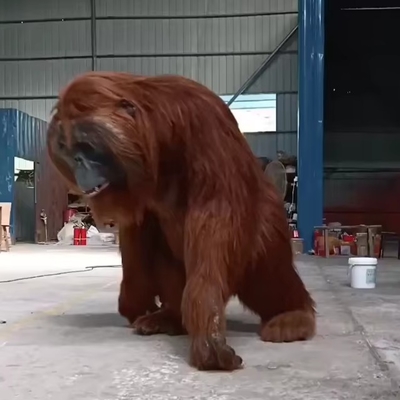 name