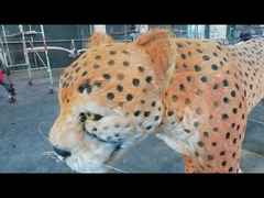 Lifelike Animatronic Dinosaur Amusement Park Diplodocus Model