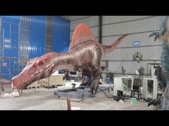 Life Size Realistic Animatronic Dinosaur Spinosaurus Servo Motors Large Range of Movements